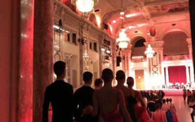 Vienna Ball Season 2024/2025